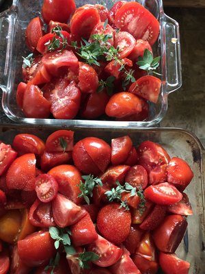Freshly chopped red tomatoes in glass baking dishes, garnished with green herbs, ready for cooking or roasting.