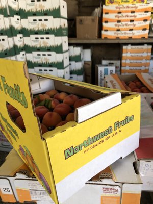Bright yellow box labeled 