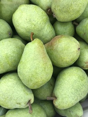 Fresh green pears piled together, showcasing their smooth skin and varying shades of green, ideal for healthy snacking and cooking.