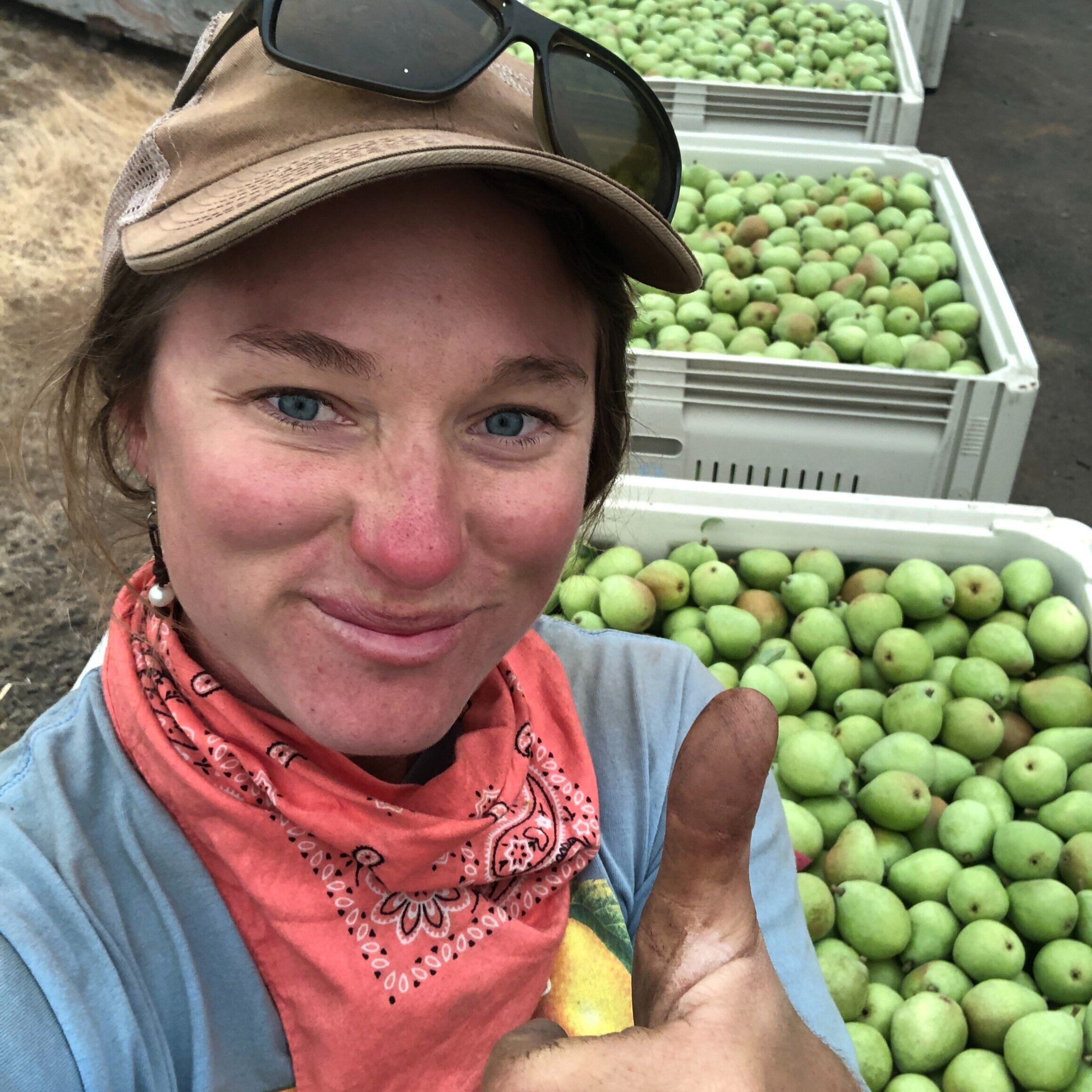 Woman giving a thumbs-up while standing in front of crates filled with freshly harvested green pears, showcasing her enthusiasm for agriculture and farming.
